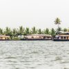 Houseboats_in_Alleppey 2