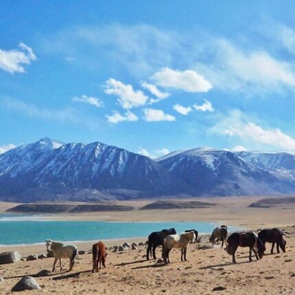 Ladakh 2