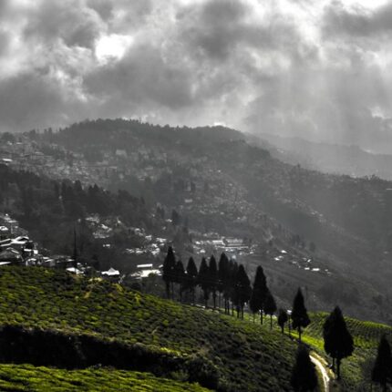 Darjeeling 1