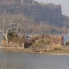 Ranthambore 7